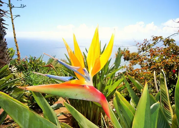 Apartment Casal Sao Joao 106 Faja da Ovelha